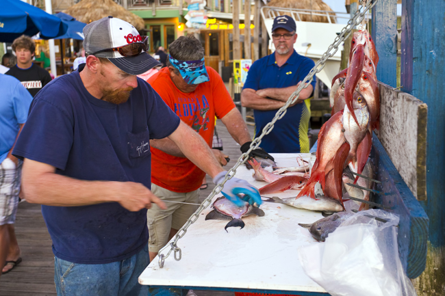 destin fl party boat fishing trips