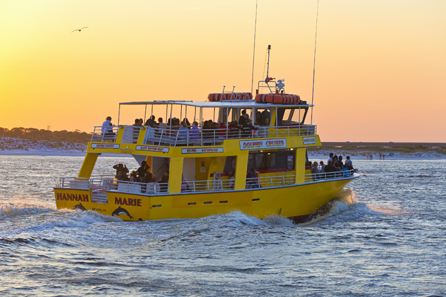 destin harbor dolphin tour